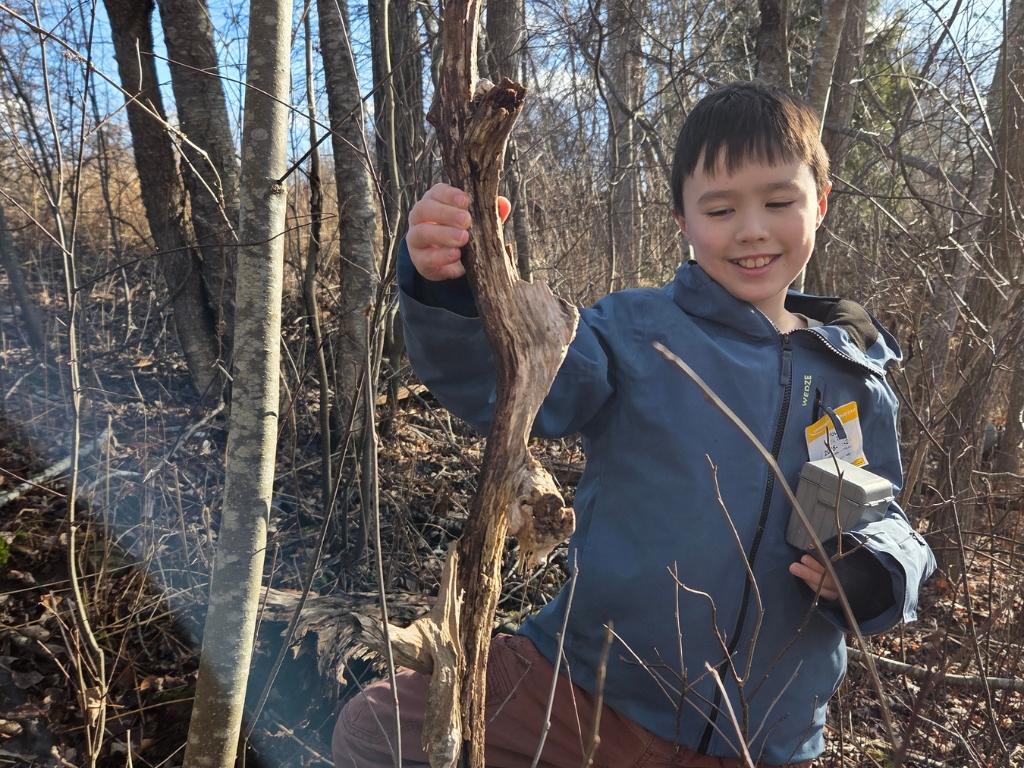 Child holding a twisted branch that looks like a wizard stick in a forest.