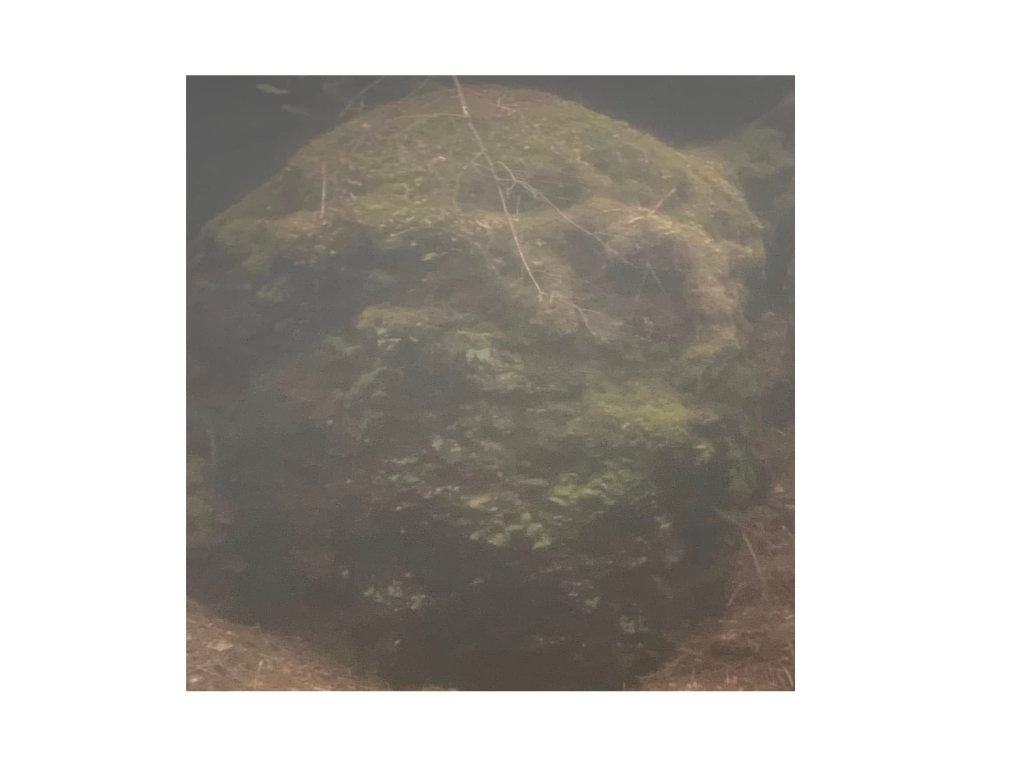 Moss-covered boulder formation resembling the face of an ogre