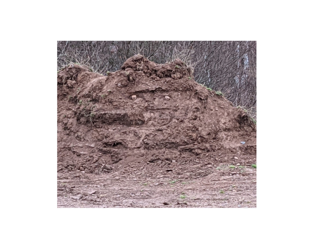 dirt pile shaped like a cat face